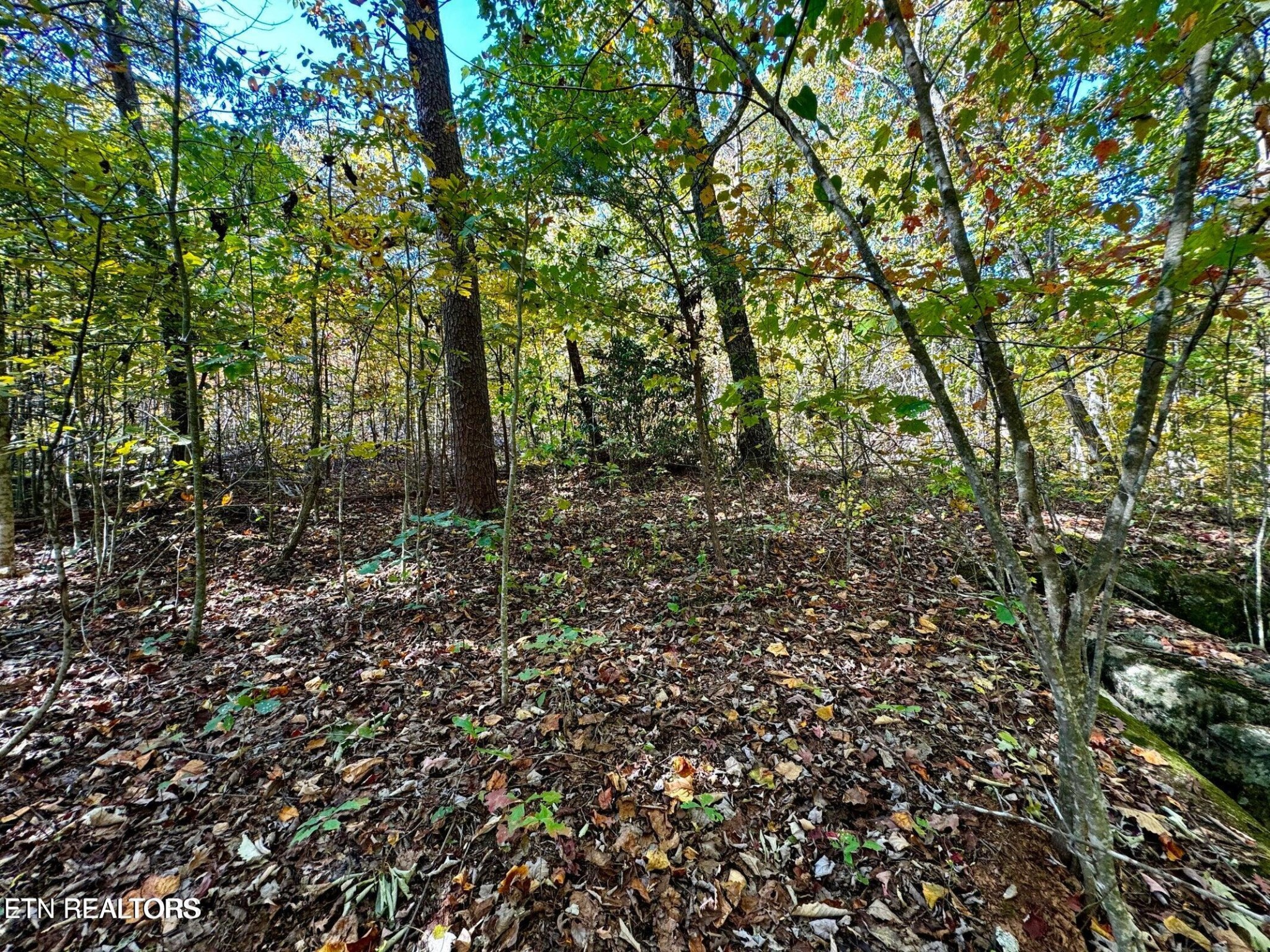 46 Honey Springs Rd