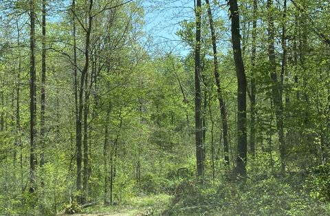 0 Day Cemetery Lane Stewart TN 37175