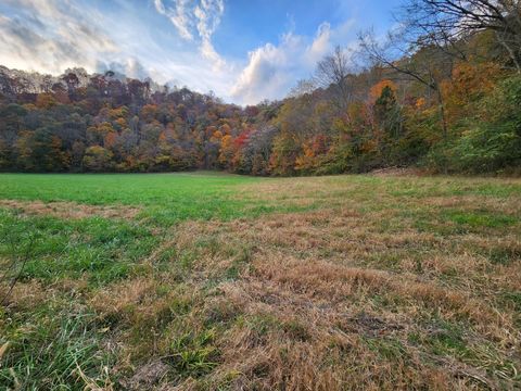 0 Pine Lick Rd Whitleyville TN 38588