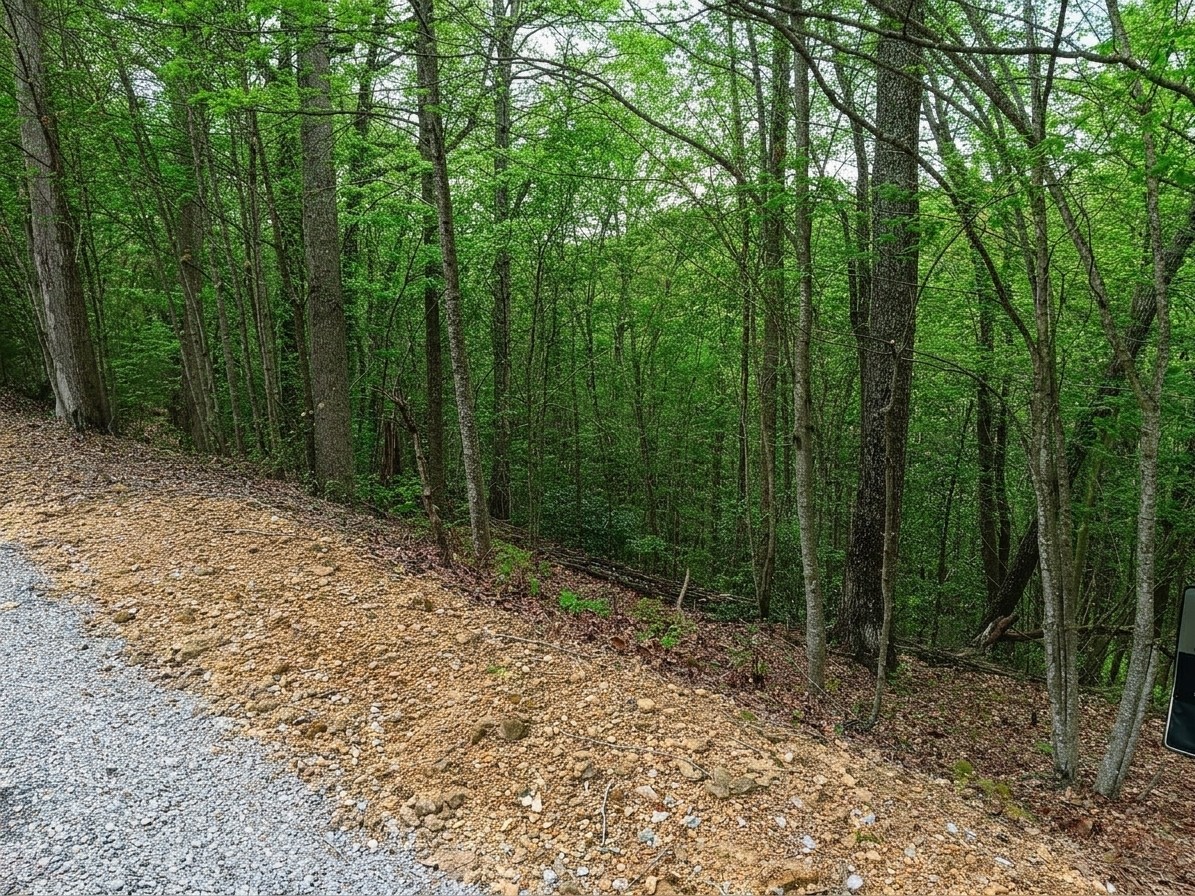 273 Tennis Center Drive - Photo 3