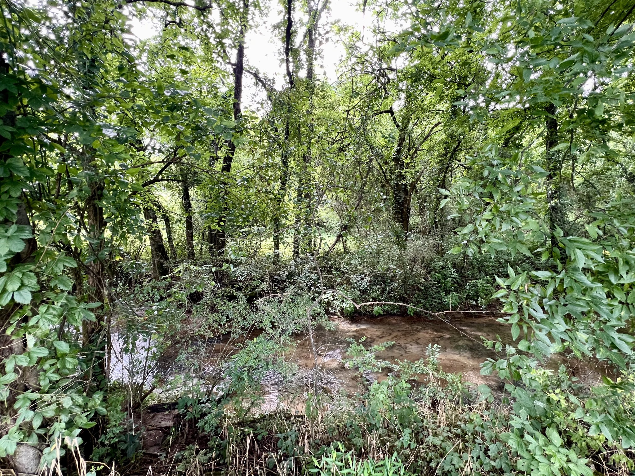 224 Willa Valley Circle