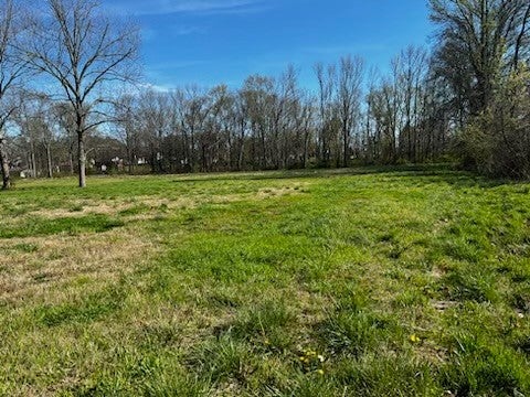 109 NEAL ST, HUNTLAND, TN 37345 - Image 56347912affc41b024cde0236a1c3233/2877696532