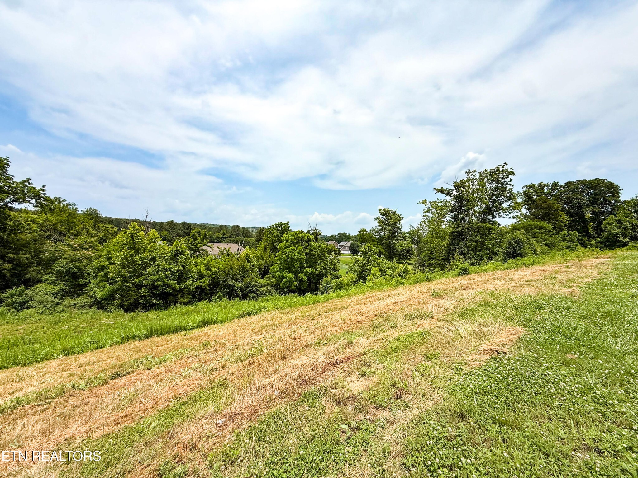 0 Lot 16 Forest Creek Pkwy
