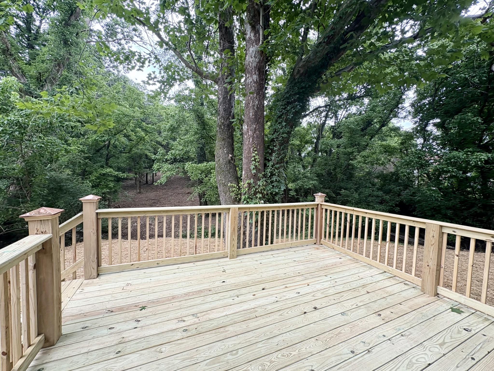 Middle Tennessee Properties 3 208 Lookout Dr
