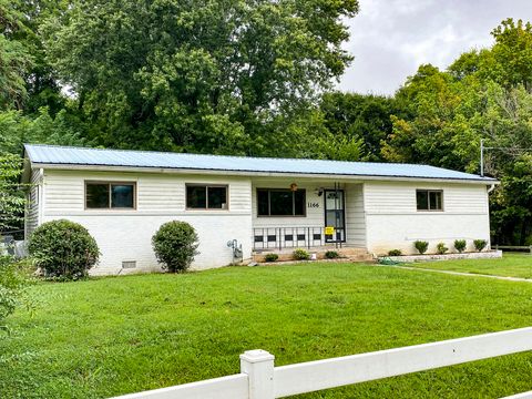 1166 Lake Dr Dandridge TN 37725