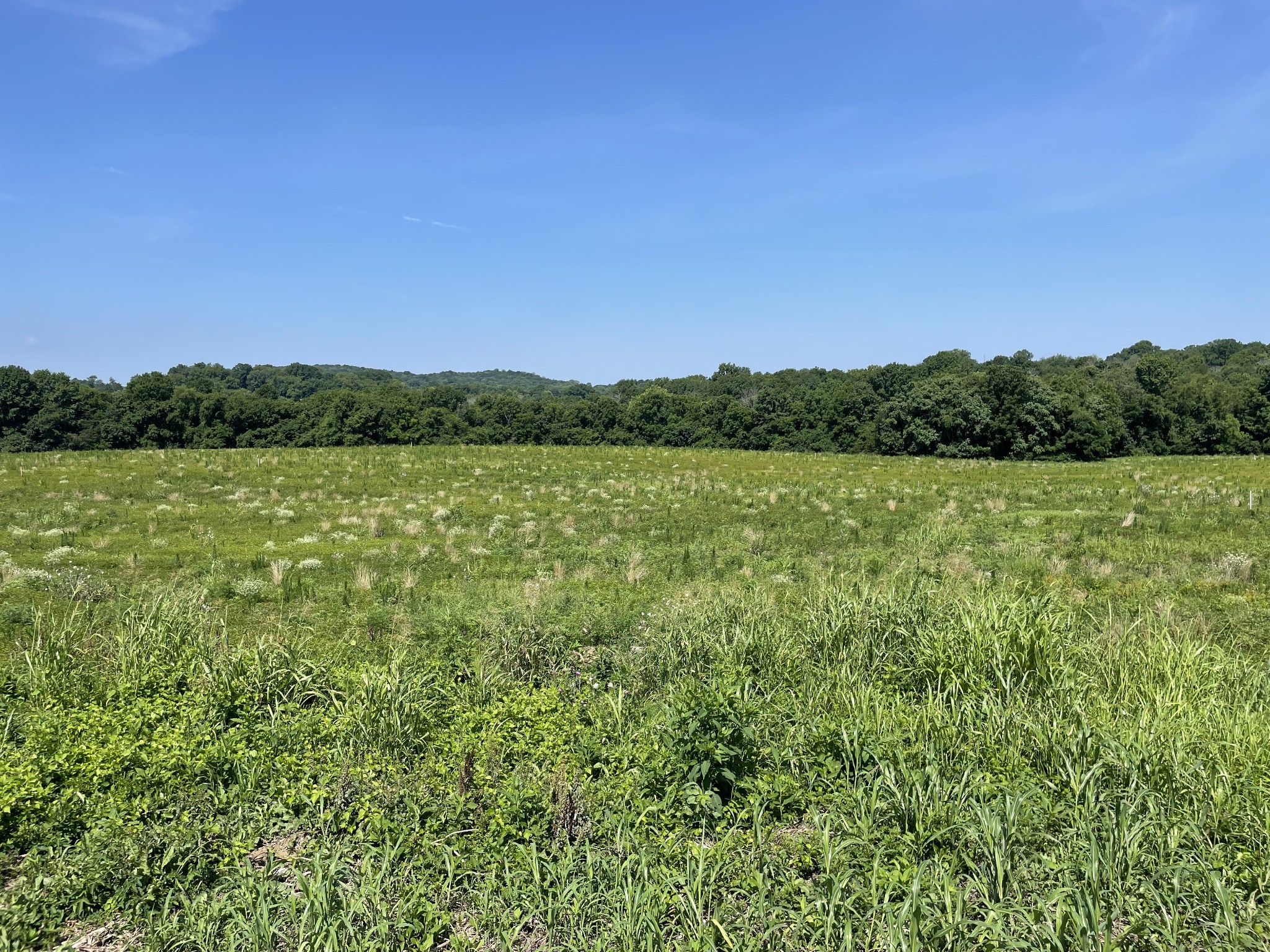 View Hartsville, TN 37074 land