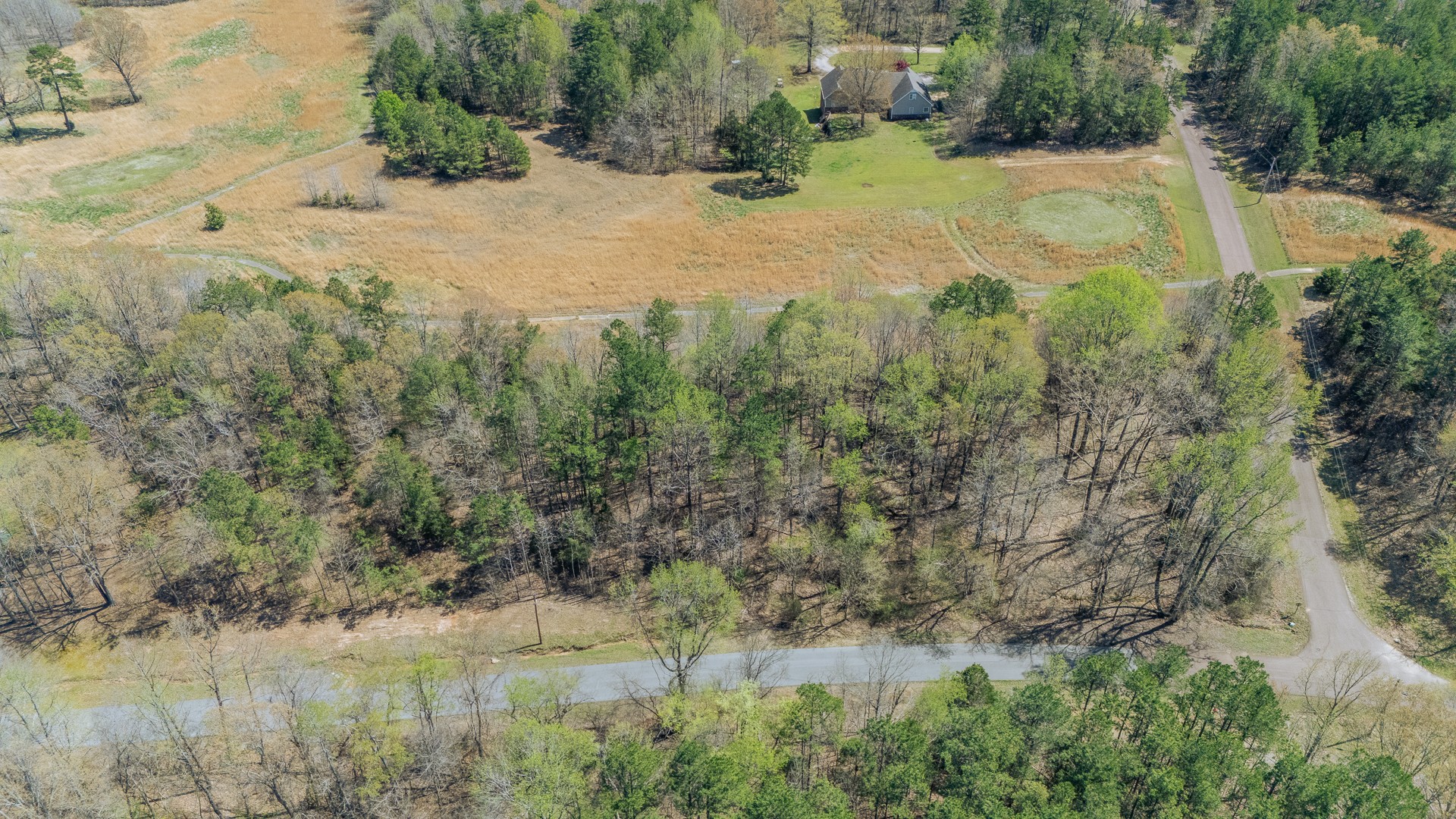 1102 Driver Ln - Photo 3