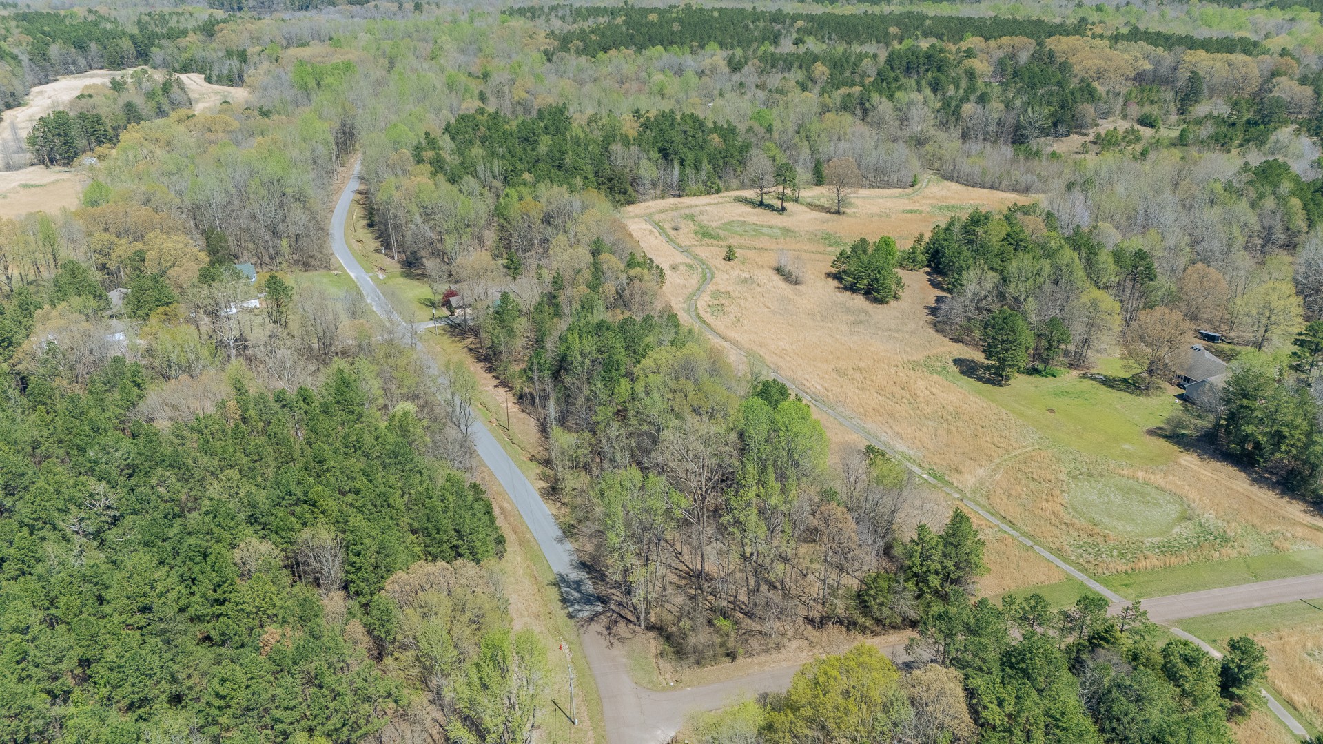 1102 Driver Ln - Photo 2
