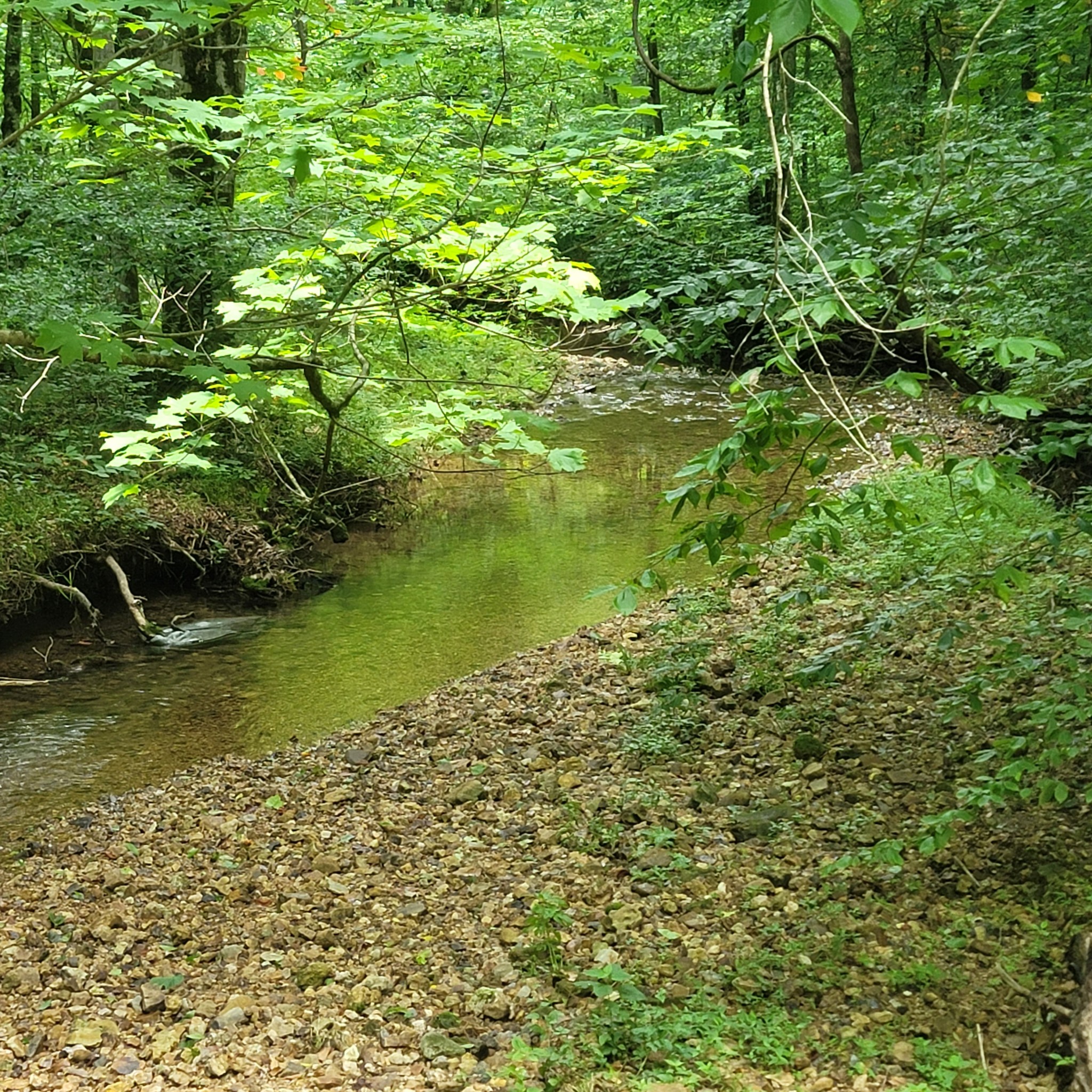 0 Teal Hollow Rd