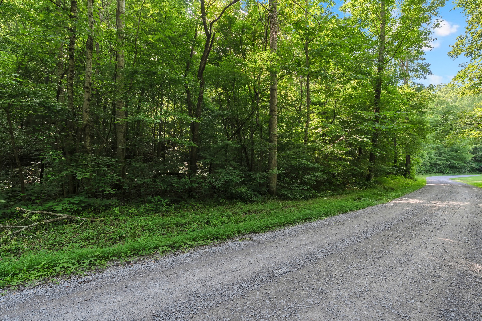 0 Teal Hollow Rd