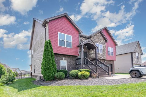 1038 Black Gum Ln Clarksville TN 37043