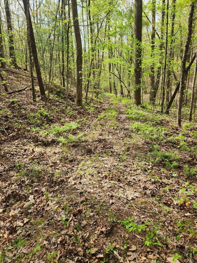 0 Chestnut Mountain Road