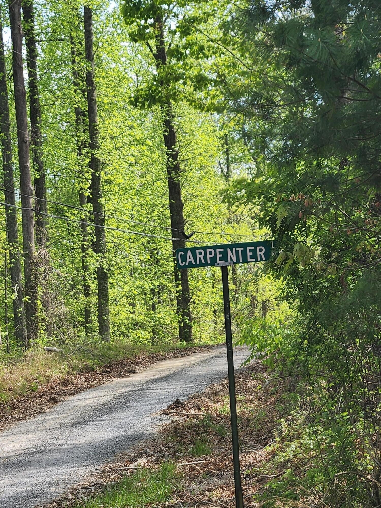 0 Chestnut Mountain Road - Photo 4
