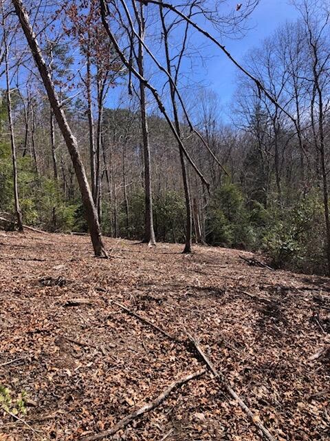 0 Sullivan Mill Lane