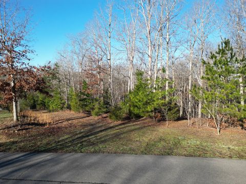 Photo of 0 Red Fox Run, Nunnelly, TN 37137 (MLS # 3136633)