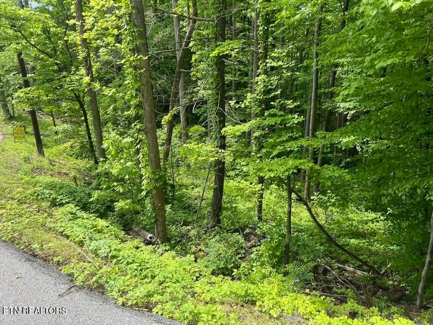 3 Old Cartertown Rd