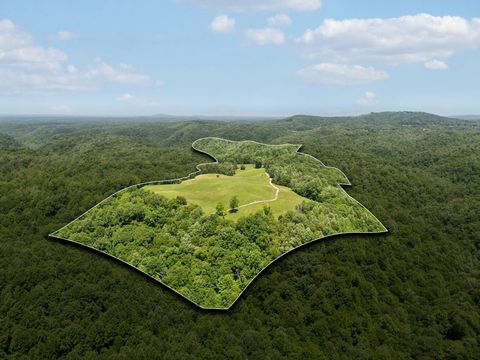 219 Dale Lane Hilham TN 38568