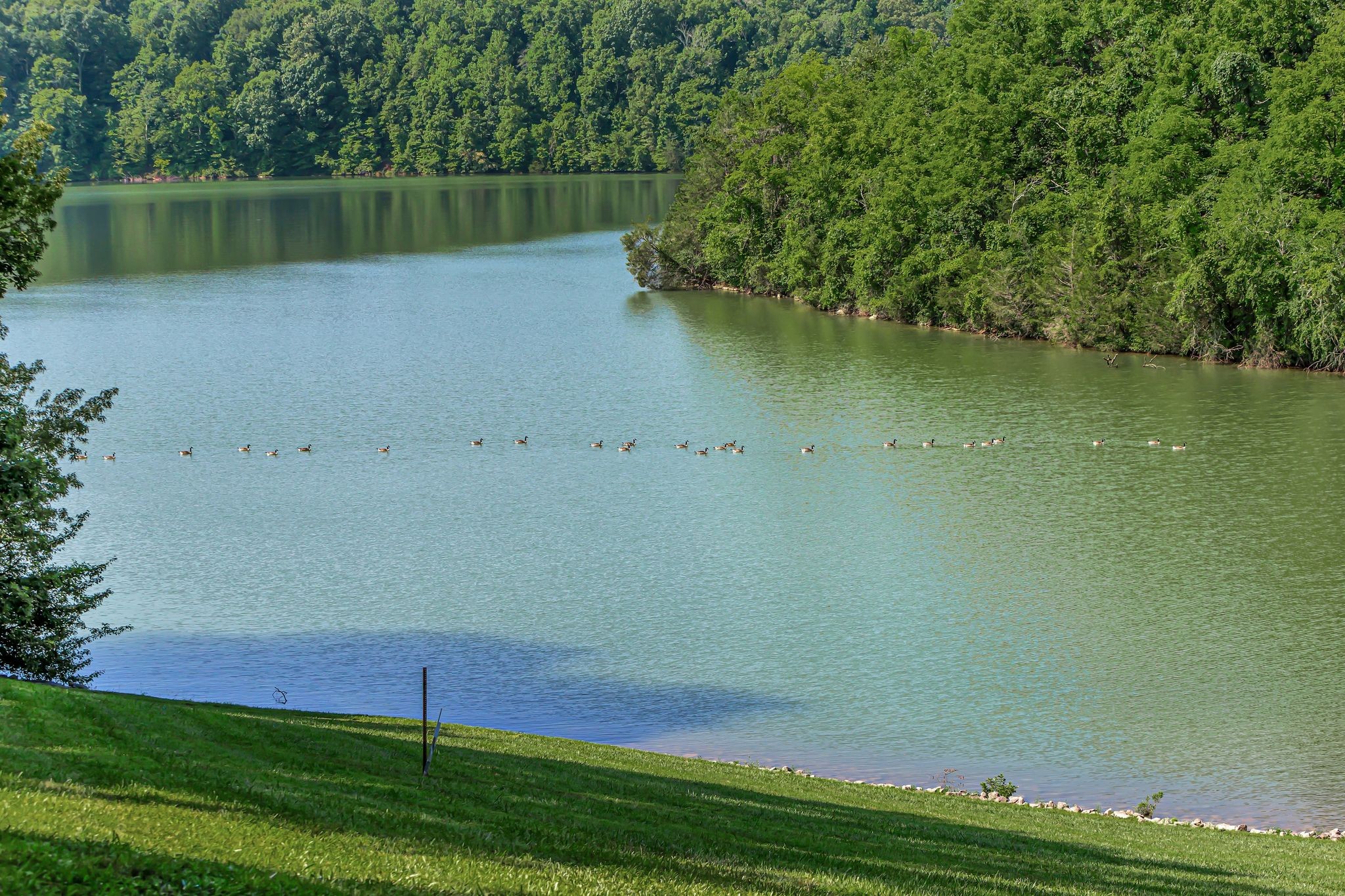 834 Lake Haven Dr