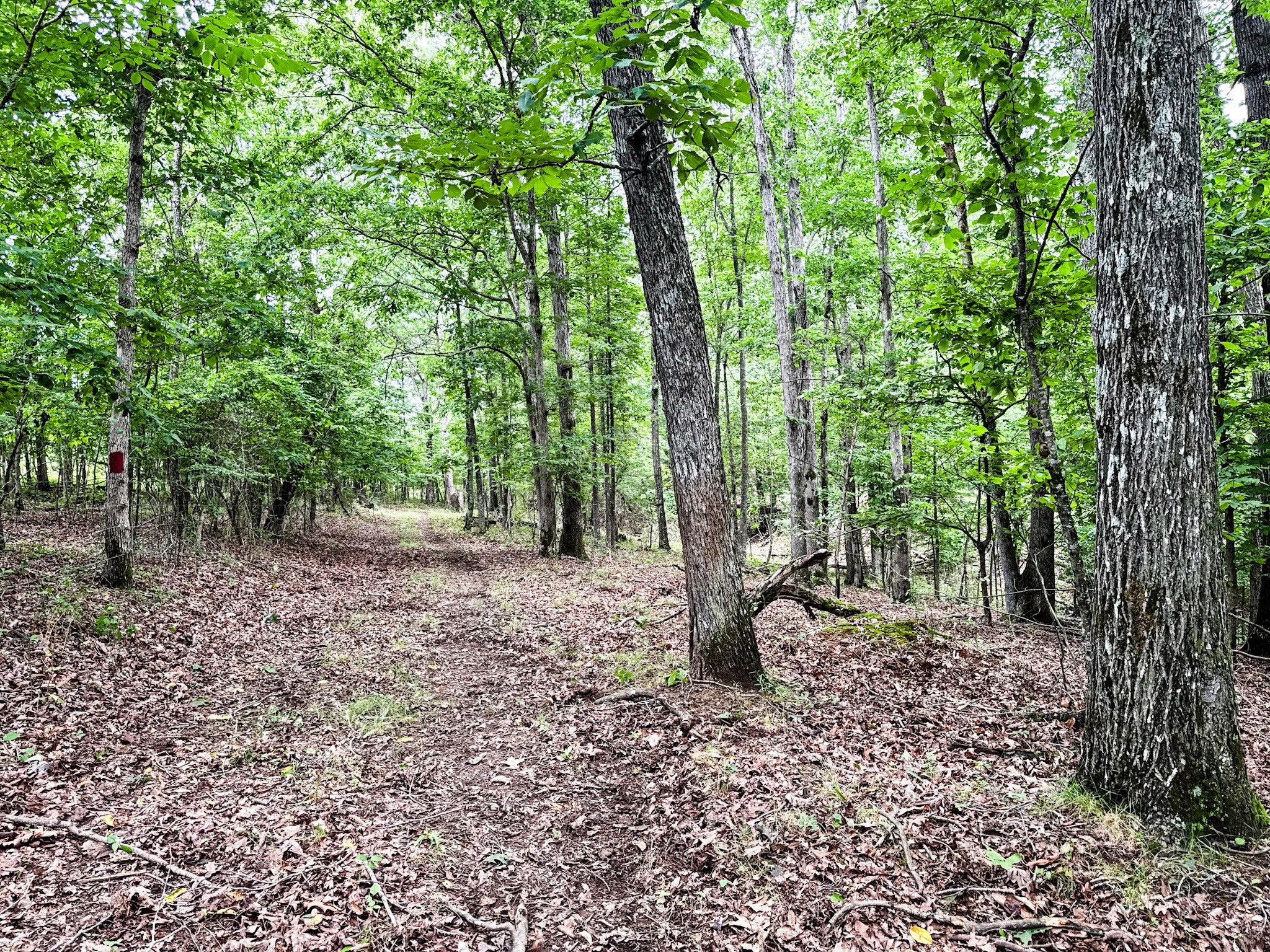 0 David Patterson Rd