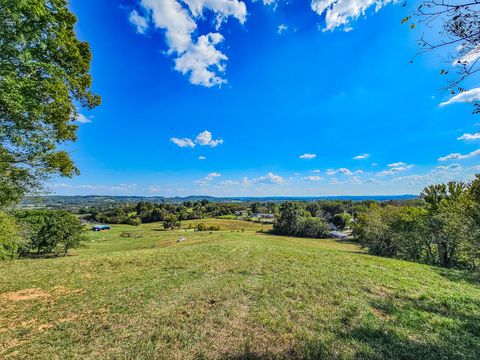 0 Knob Creek Wartrace TN 37183