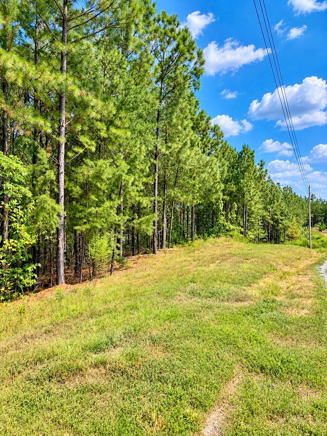 376 Fox Ridge Dr