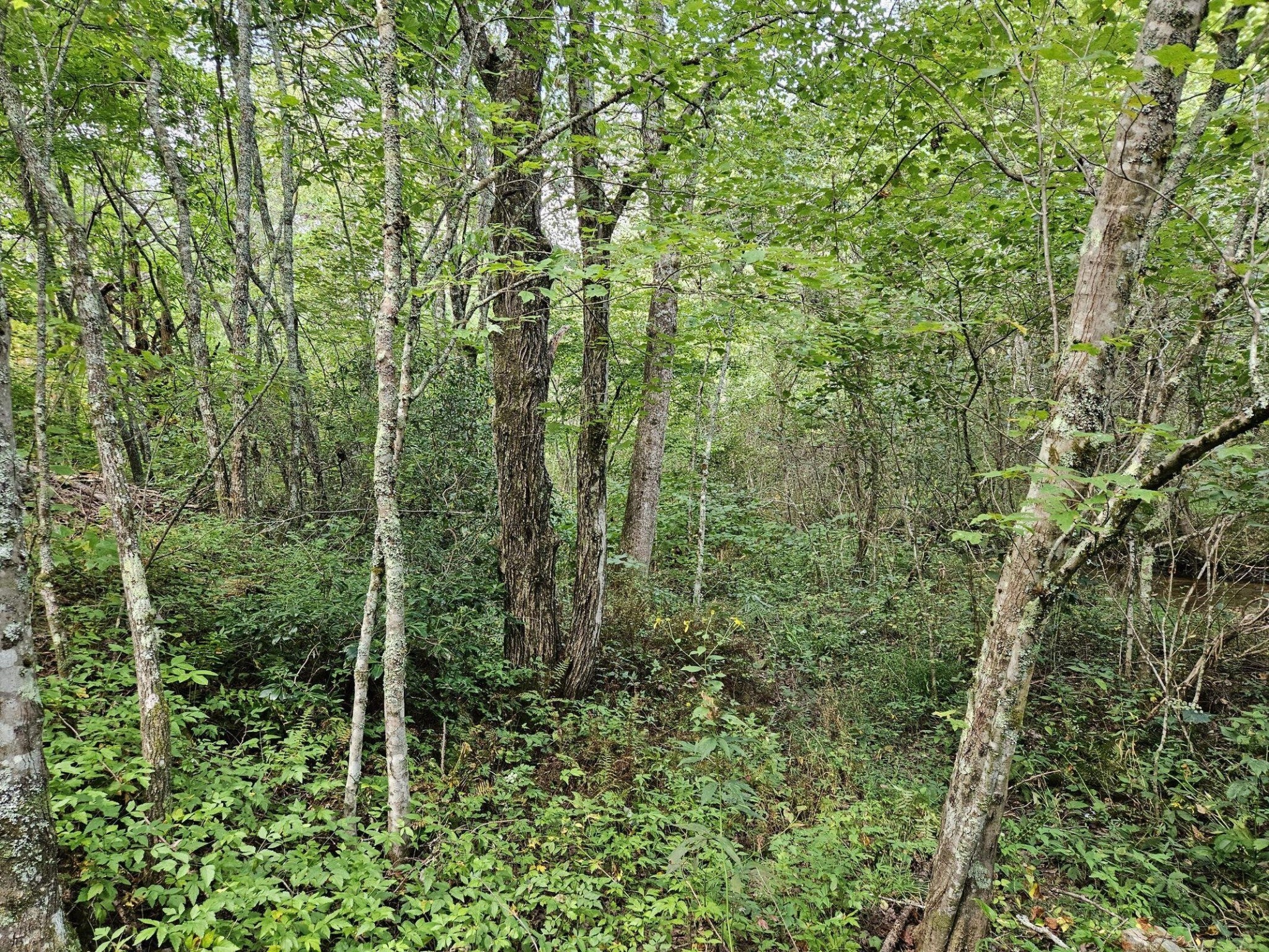 32 Belaire Drive