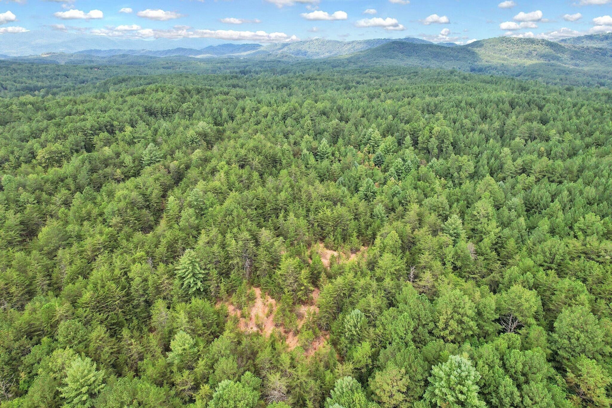 32 Belaire Drive