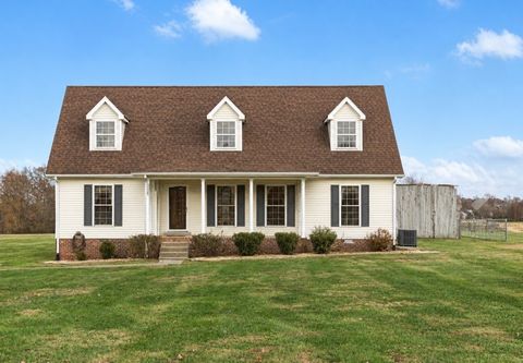 Photo of 1044 Robert Elder Ct, Cedar Hill, TN 37032 (MLS # 3186469)