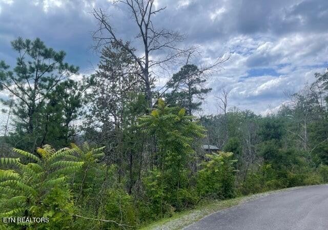 0 River Birch Way
