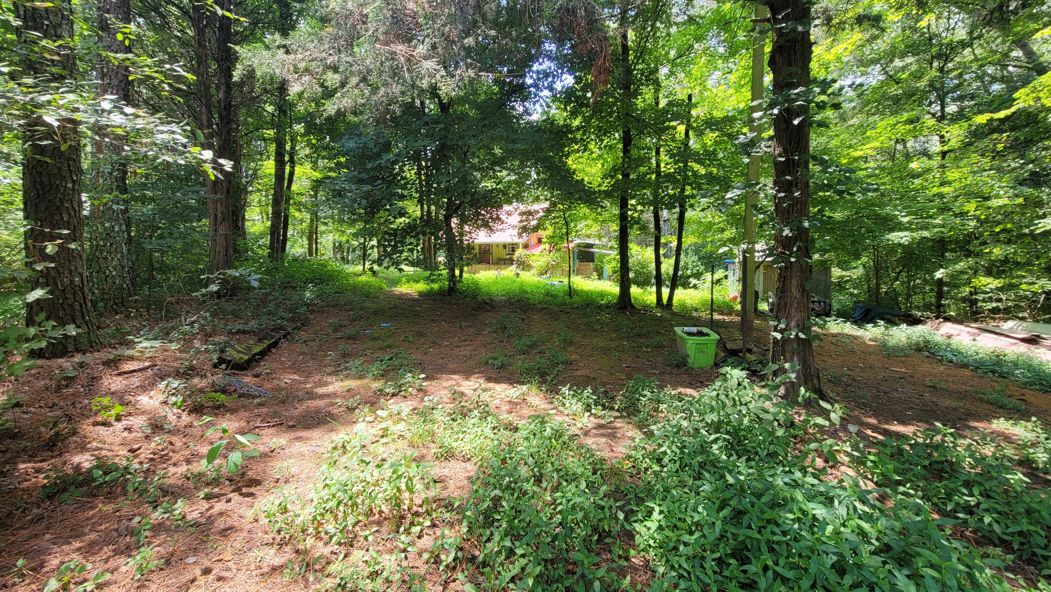 7992 Primm Springs Rd