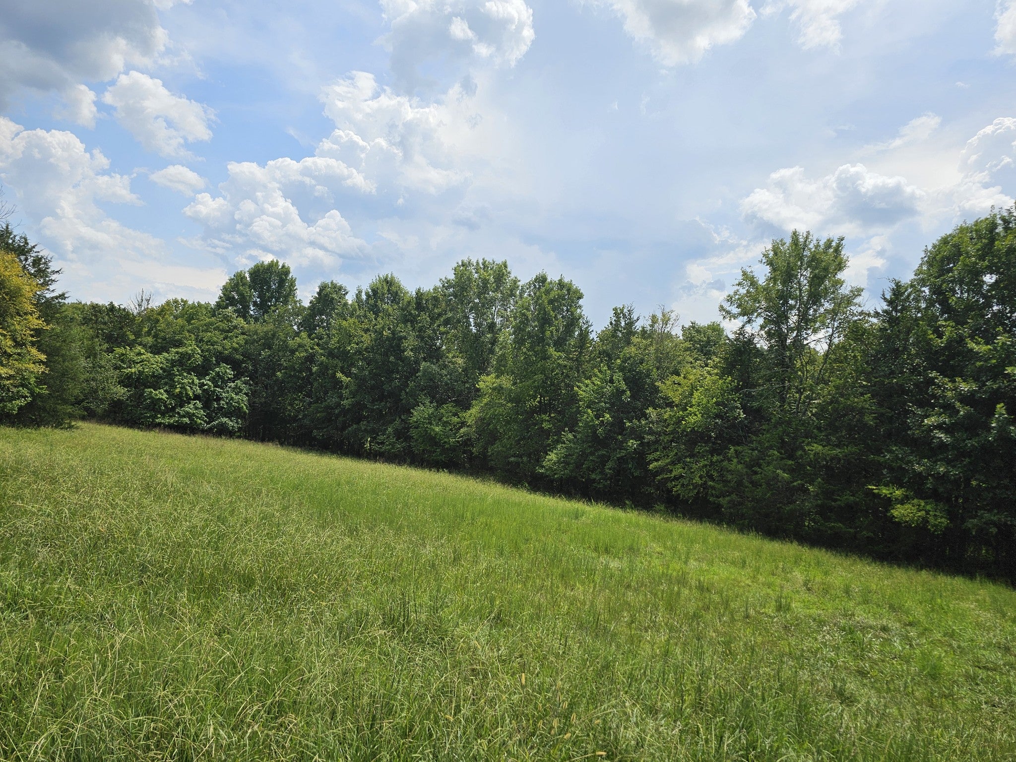0 Whitfield Hollow Road