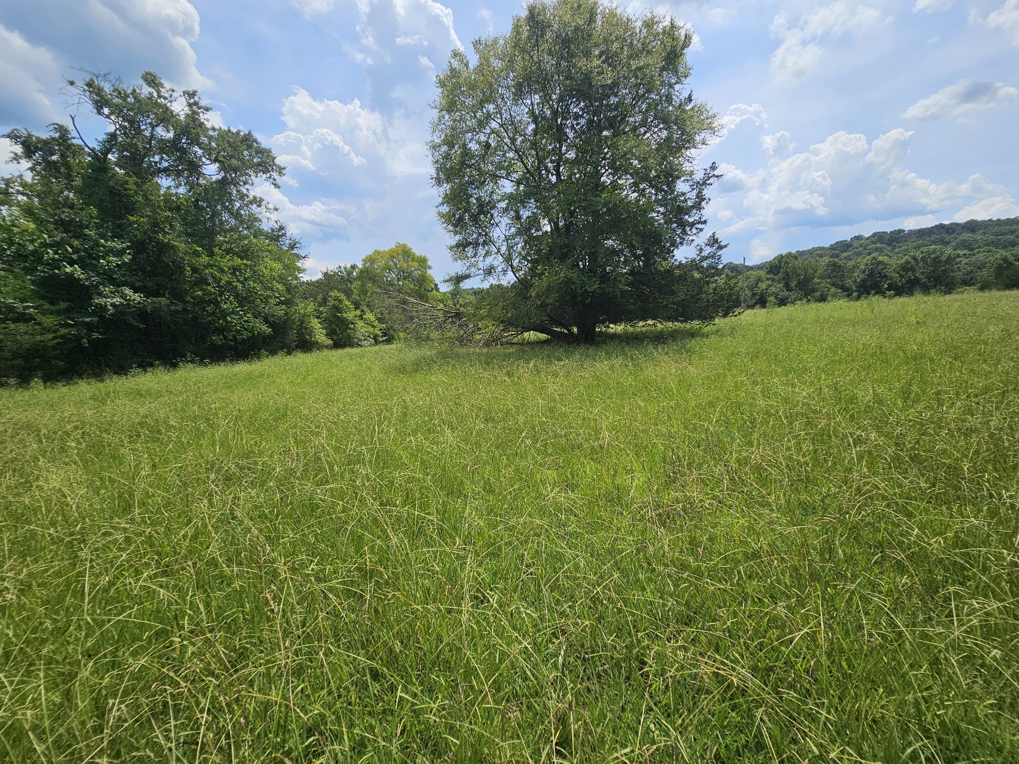 0 Whitfield Hollow Road