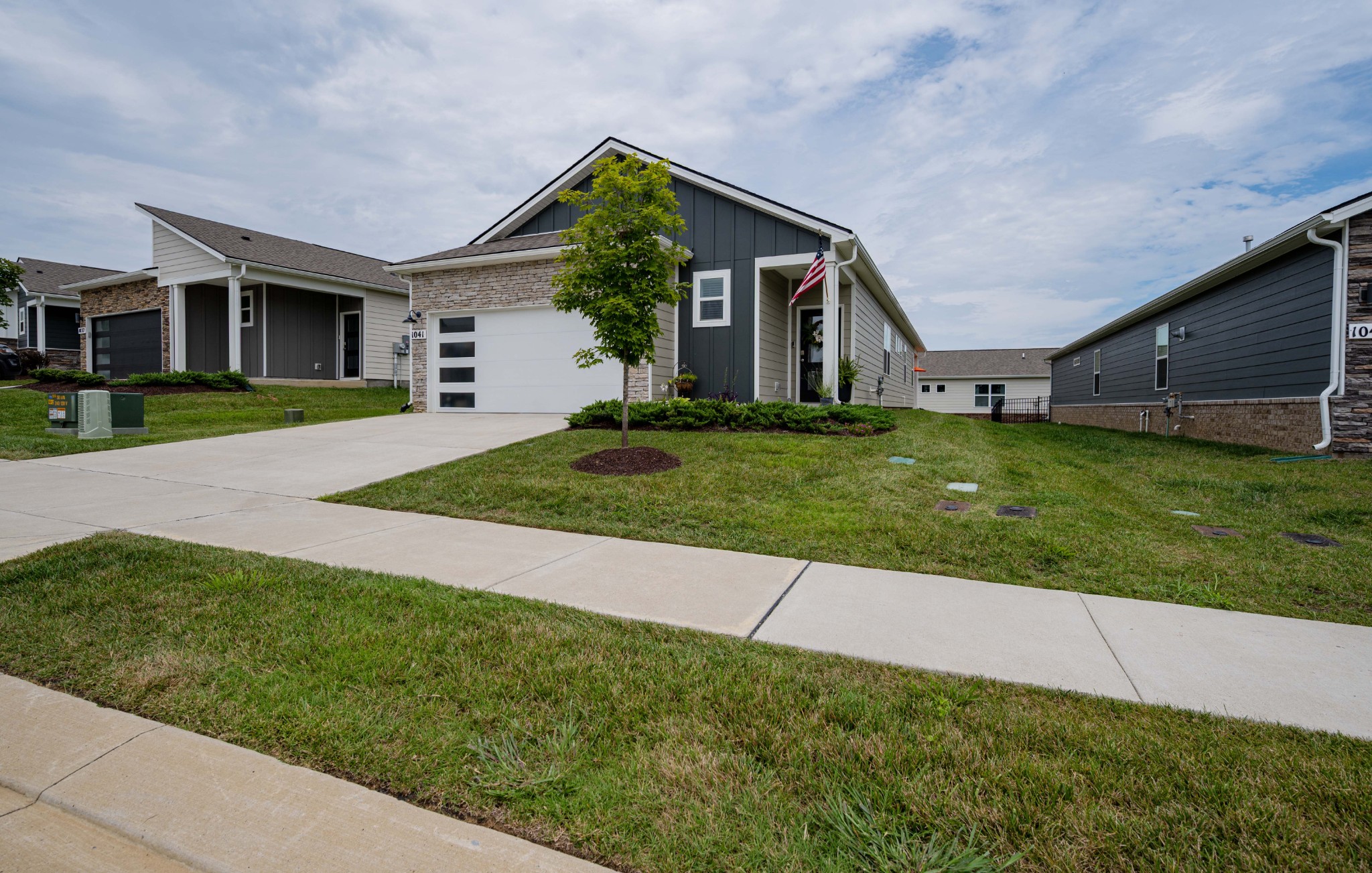 1041 Royal Gorge Pvt Ct