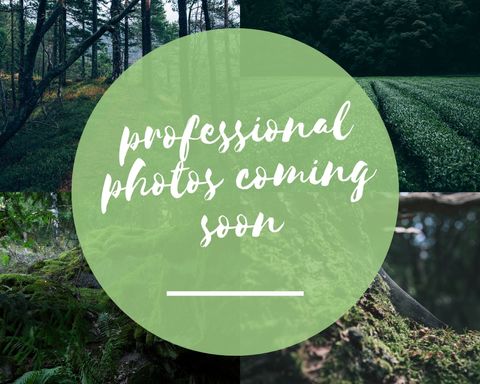 562 Walton Ferry Rd Hendersonville TN 37075