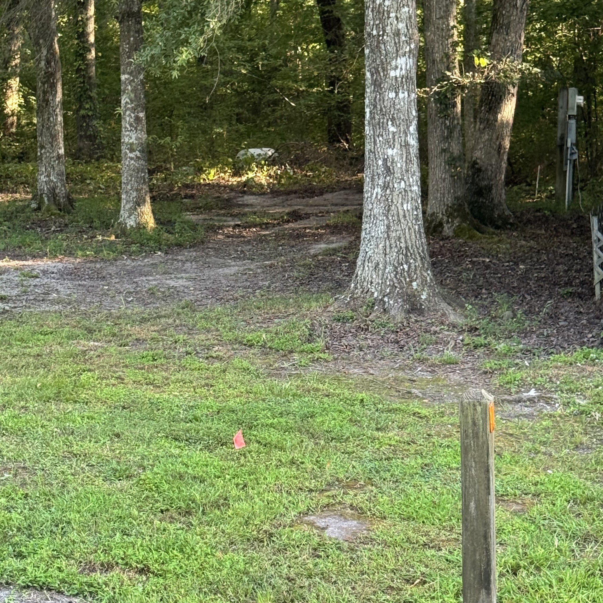 343 Spring Cir
