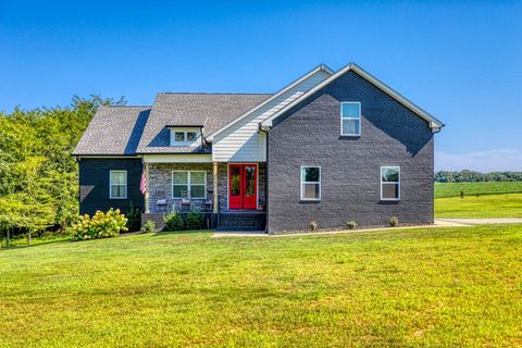 29490 Highway 49 E Orlinda TN 37141