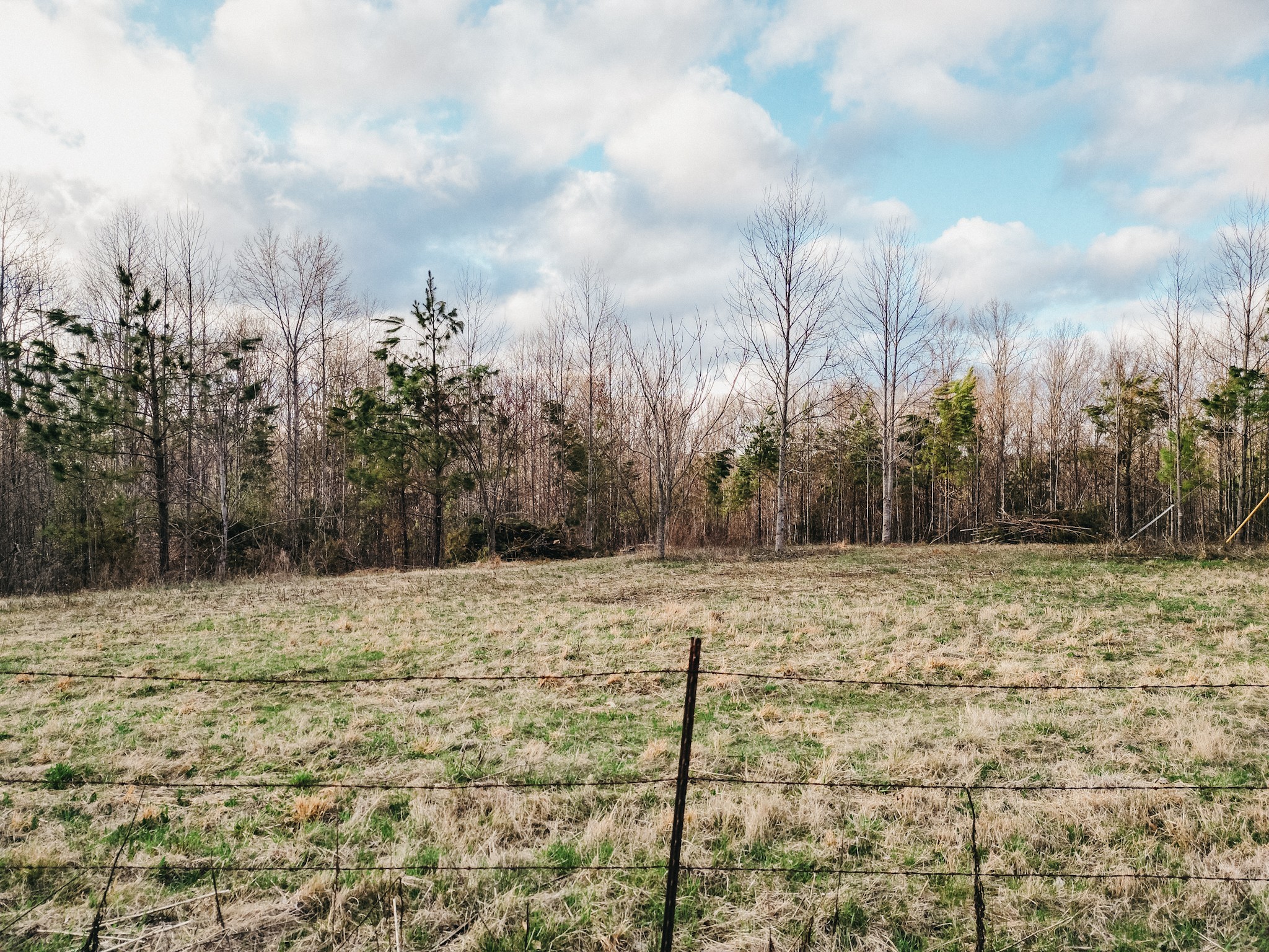 0 Parker Branch & Mt Laura Ln