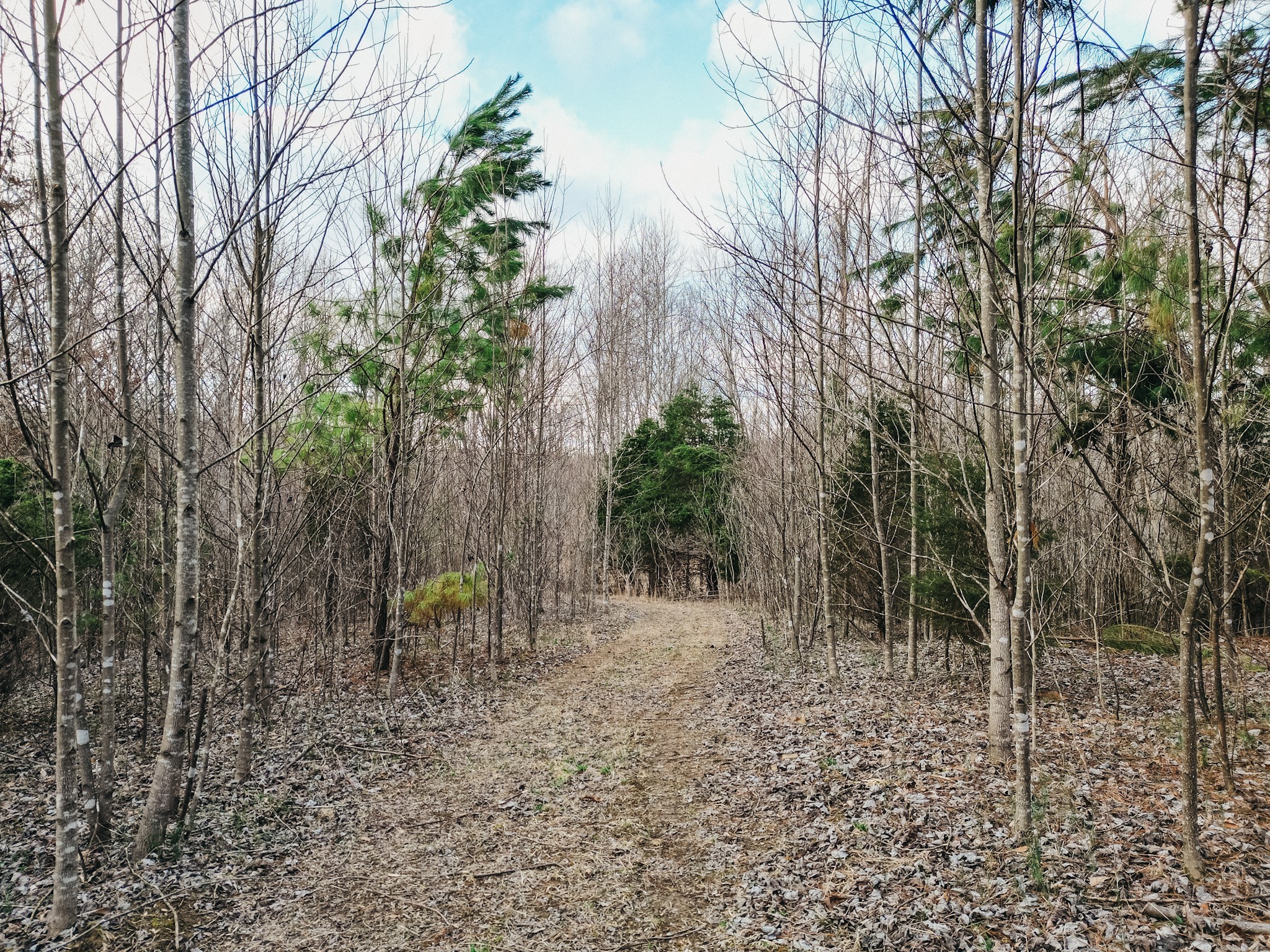 0 Parker Branch & Mt Laura Ln