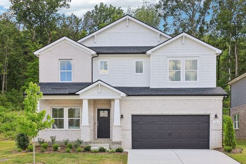 323 Zen Court Smyrna TN 37167