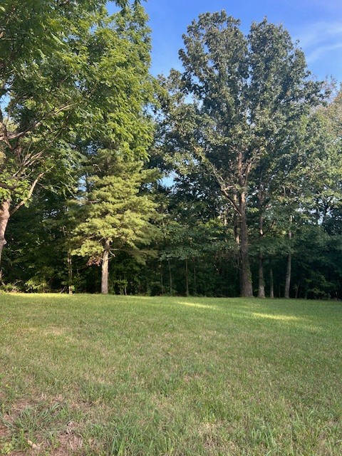 0 Mockingbird Hill