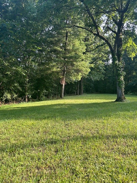 0 Mockingbird Hill