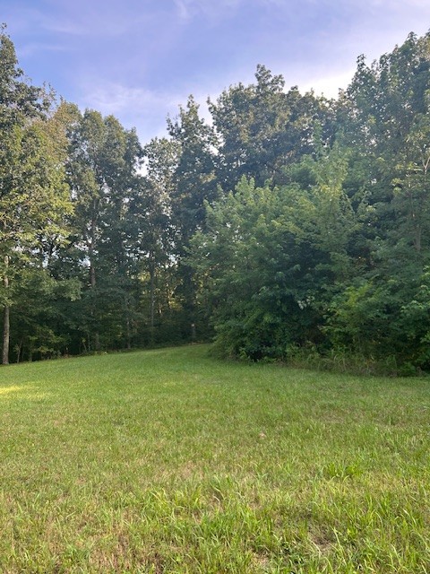0 Mockingbird Hill