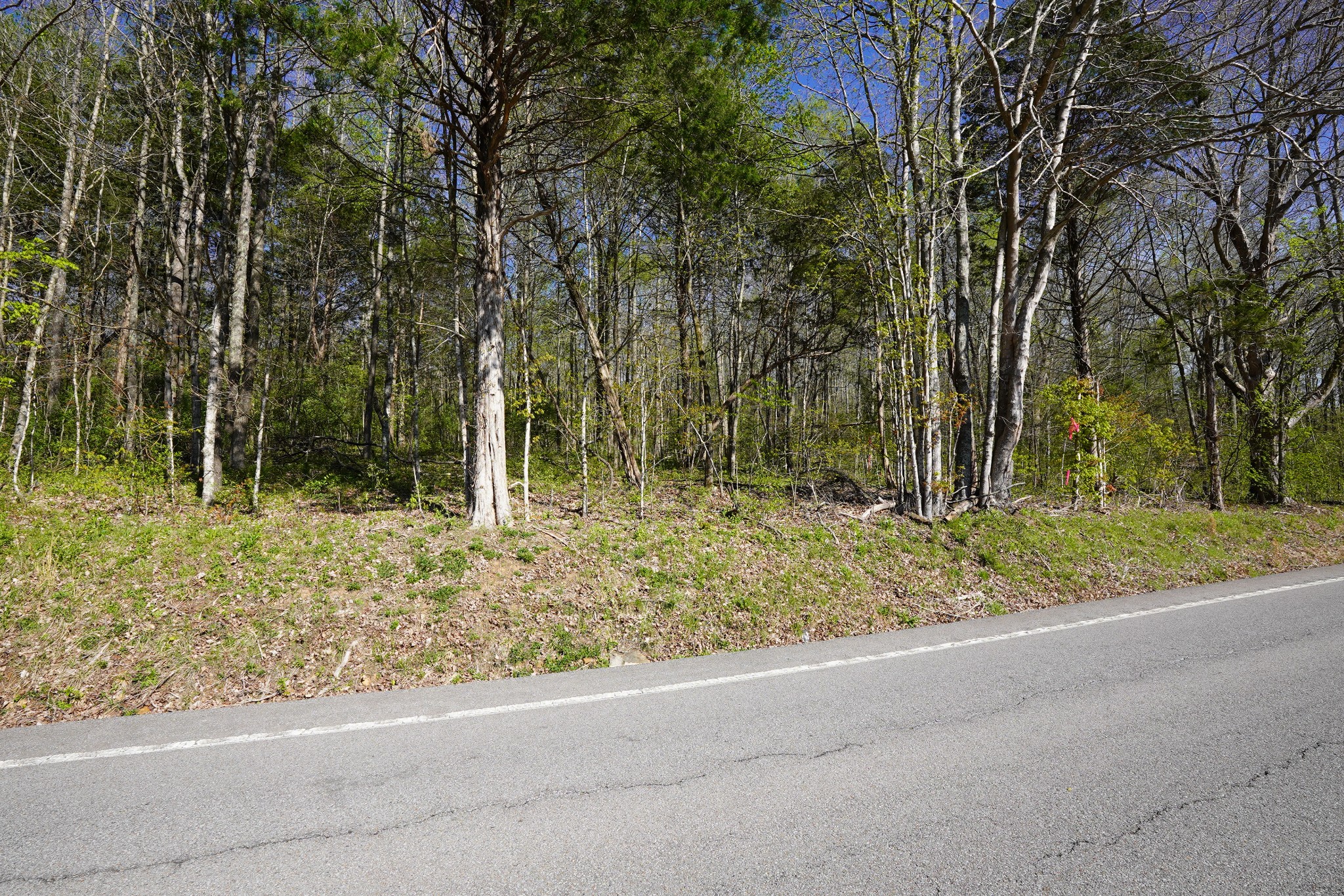 4167 Hwy 49