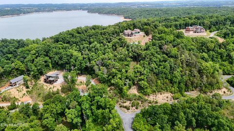 Photo of 78 Stone Bridge Drive, Dandridge, TN 37725 (MLS # 3224793)