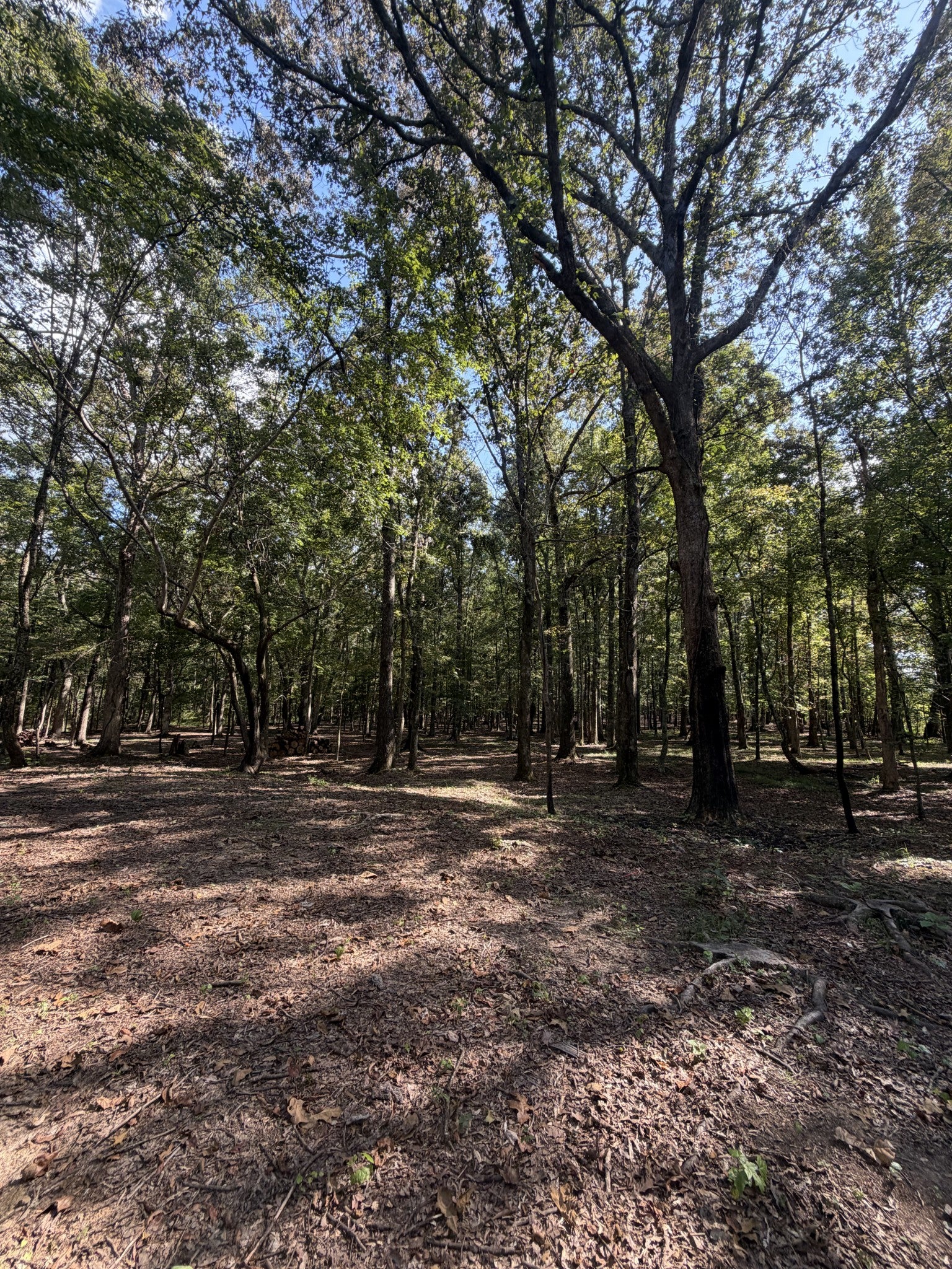 0 Lakewood Park Dr