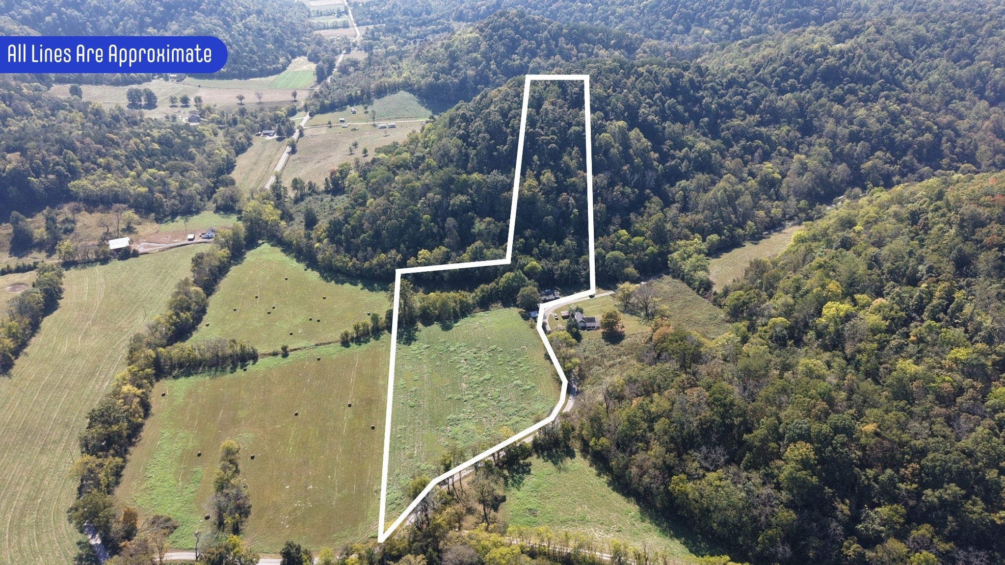 239 Rose Ln