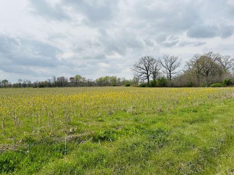 260 Dugout Road Summertown TN 38483