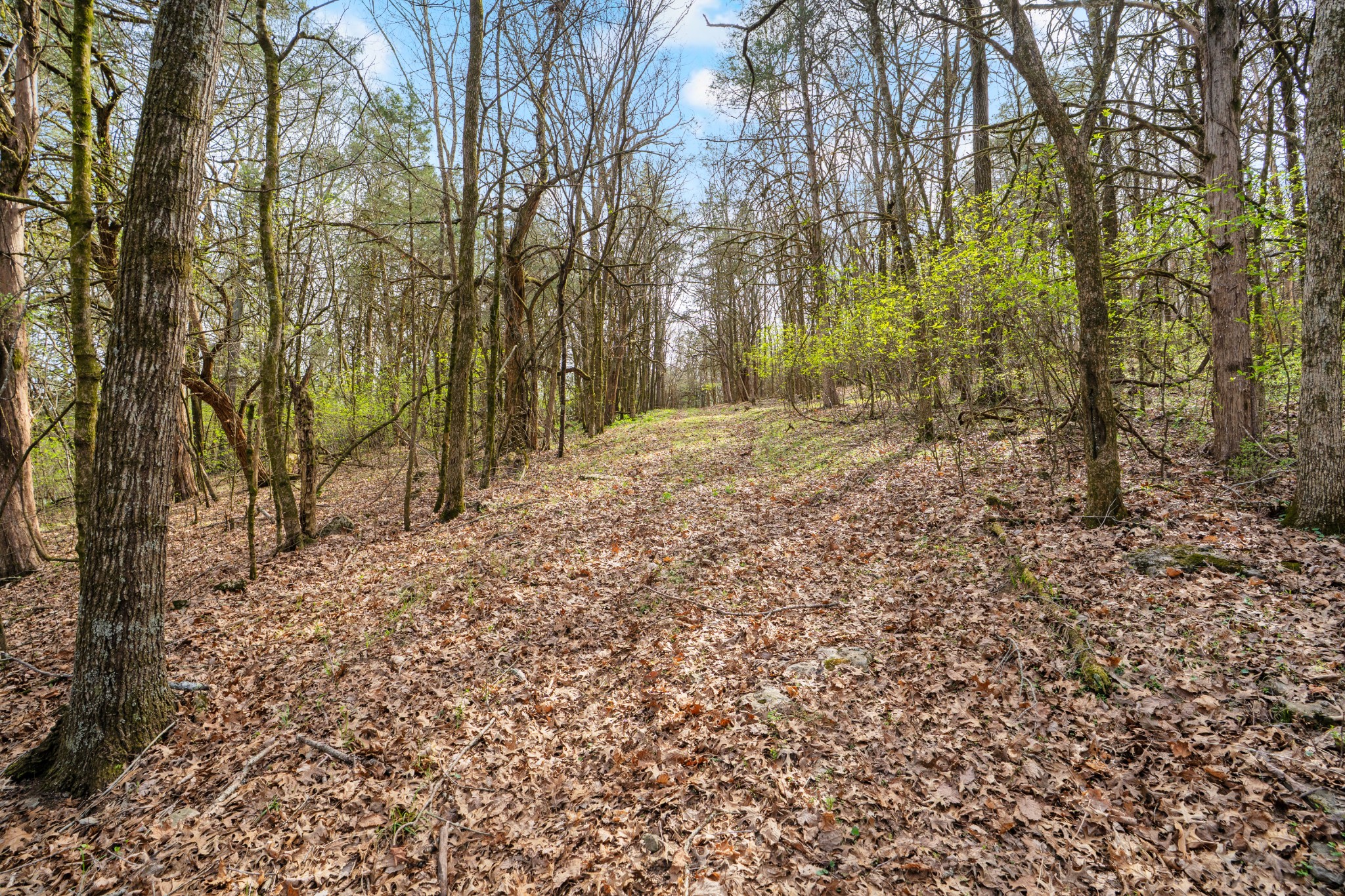 0 Shelbyville Highway