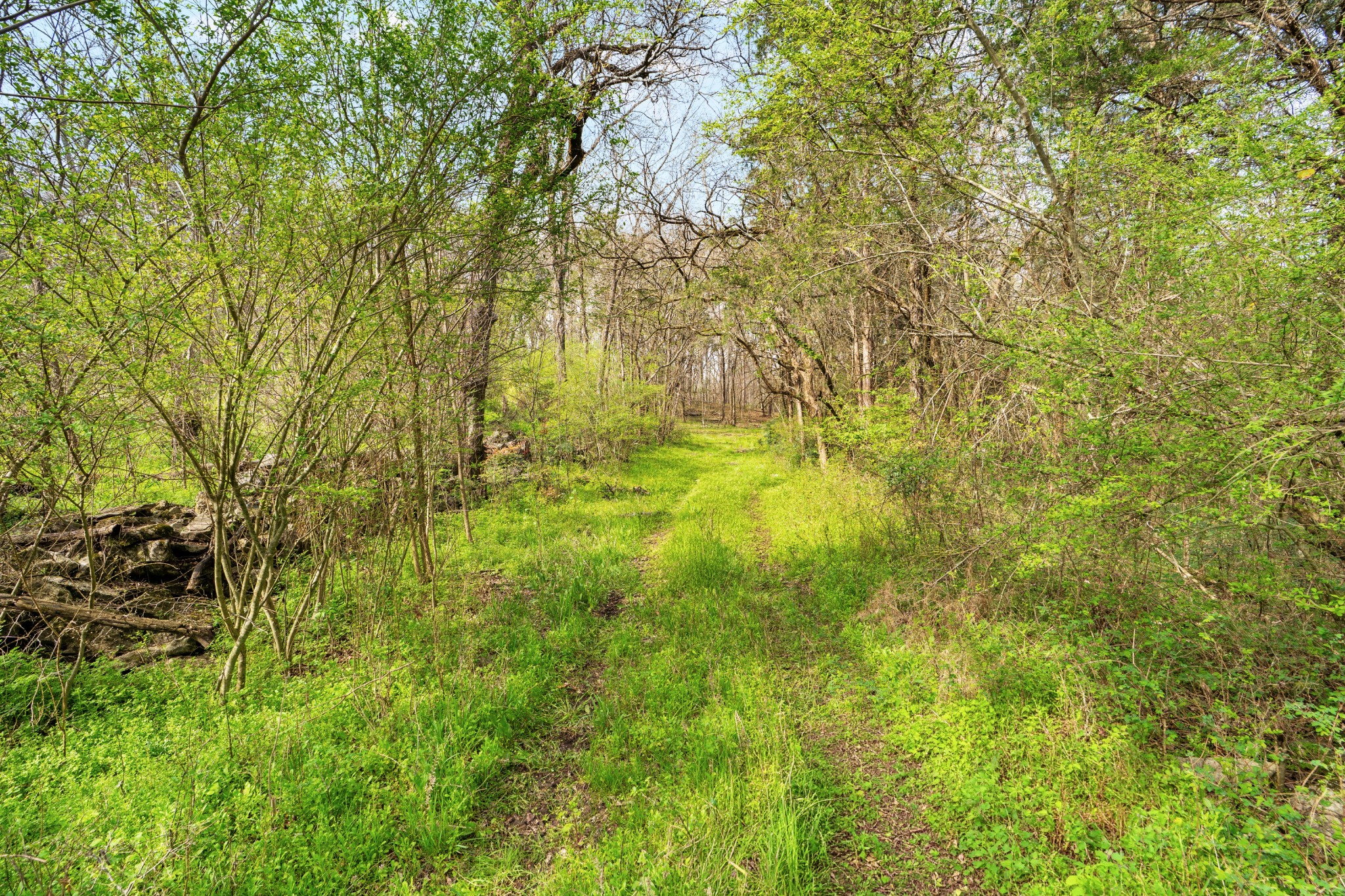 0 Shelbyville Highway