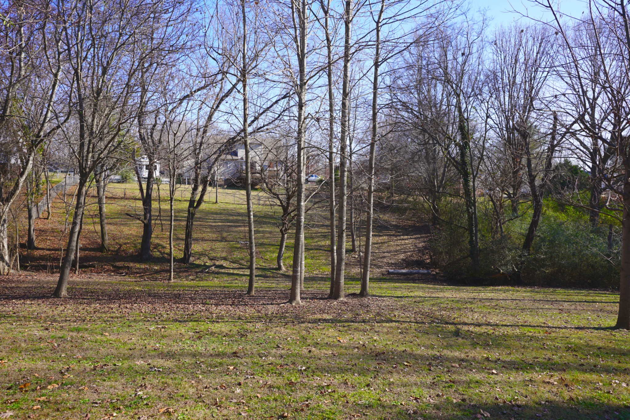 1168 W Grab Creek Rd